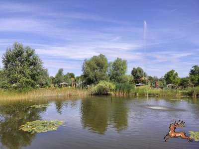 db_bilder/400/hi_res--20250730_1030-0011.png