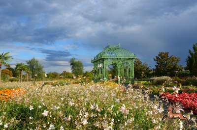 ../db_bilder/400/hi_res_herbst--20130921-002.png