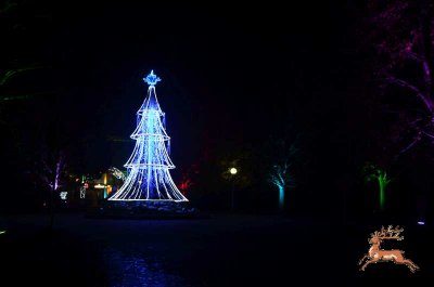 ../db_bilder/400/hi_res_weihnacht--20161118-003969.png