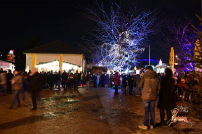 db_bilder/400/hi_res_weihnacht--20181207-500028.png