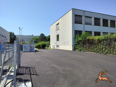 db_bilder/400/hi_schrebergasse--20250809_1411-0001.png