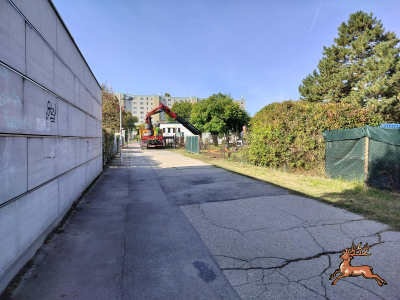 db_bilder/400/hi_schrebergasse--20251014_1124-0001.png