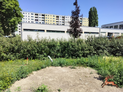db_bilder/400/hi_schrebergasse--20260619_1128-0003.png