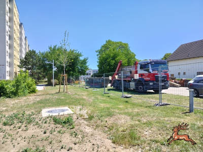../db_bilder/400/hi_schrebergasse--20260624_1252-0012.png