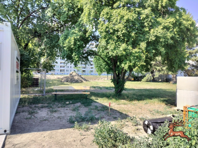 db_bilder/400/hi_schrebergasse--20260626_1708-0014.png