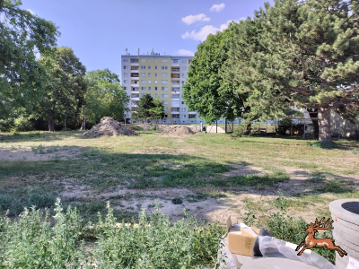 db_bilder/400/hi_schrebergasse--20260626_1709-0017.png