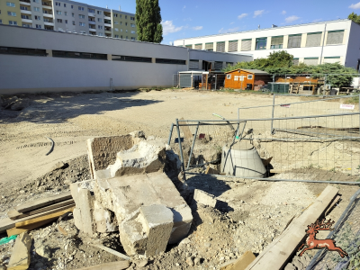 db_bilder/400/hi_schrebergasse--20260710_1709-0008.png