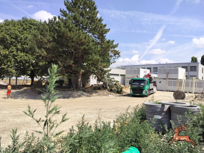 db_bilder/400/hi_schrebergasse--20260715_1208-0019.png