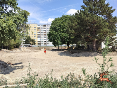 db_bilder/400/hi_schrebergasse--20260715_1209-0020.png