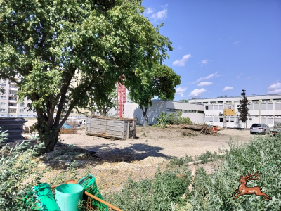 db_bilder/400/hi_schrebergasse--20260727_1509-0002.png