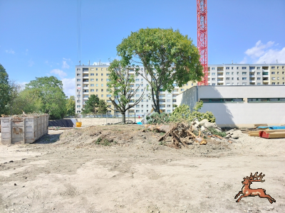 db_bilder/400/hi_schrebergasse--20260727_1509-0006.png