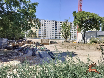 db_bilder/400/hi_schrebergasse--20260729_1550-0001.png