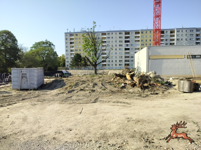 db_bilder/400/hi_schrebergasse--20260731_1709-0002.png