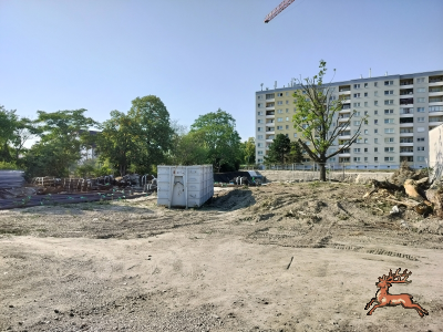 db_bilder/400/hi_schrebergasse--20260731_1709-0003.png