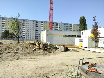 db_bilder/400/hi_schrebergasse--20260731_1709-0005.png