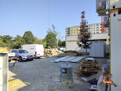 db_bilder/400/hi_schrebergasse--20260805_0828-0001.png