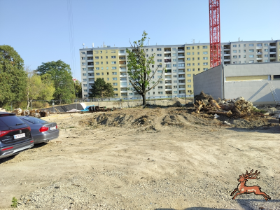 db_bilder/400/hi_schrebergasse--20260805_0829-0002.png