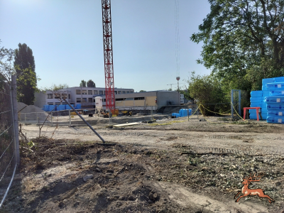 db_bilder/400/hi_schrebergasse--20260805_0843-0003.png
