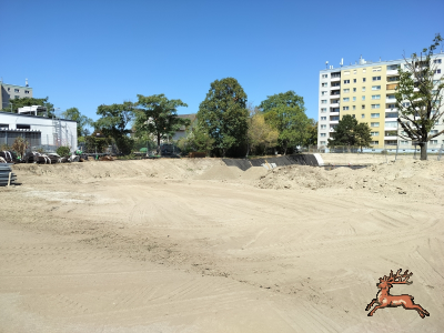 db_bilder/400/hi_schrebergasse--20260812_1150-0001.png