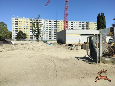 db_bilder/400/hi_schrebergasse--20260812_1150-0002.png
