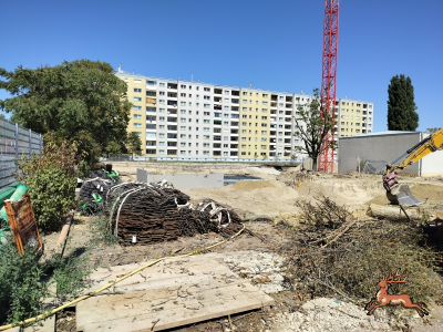 db_bilder/400/hi_schrebergasse--20260814_1319-0001.png