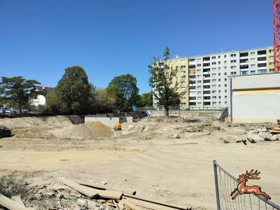 db_bilder/400/hi_schrebergasse--20260814_1320-0006.png