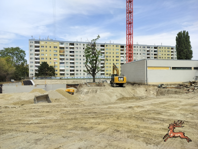 db_bilder/400/hi_schrebergasse--20260817_1223-0005.png