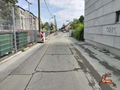 db_bilder/400/hi_schrebergasse--20260817_1224-0009.png