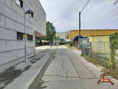 db_bilder/400/hi_schrebergasse--20260817_1224-0010.png