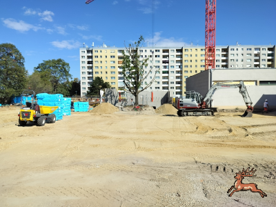 db_bilder/400/hi_schrebergasse--20260903_1035-0003.png