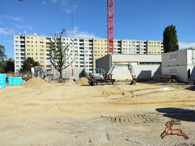 db_bilder/400/hi_schrebergasse--20260903_1035-0004.png