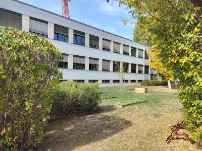 db_bilder/400/hi_schrebergasse--20261008_1213-0013.png