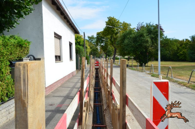 ../db_bilder/400/hi_spargelfeldstrasse--20240810_0915-5665.png