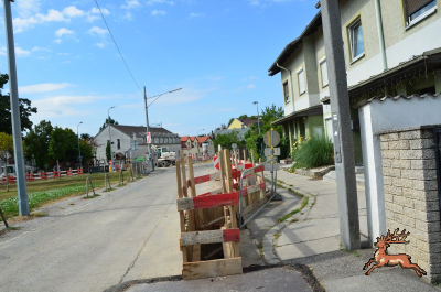 ../db_bilder/400/hi_spargelfeldstrasse--20240810_0915-5667.png