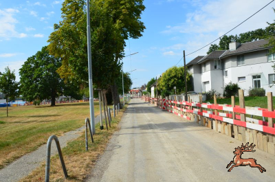 ../db_bilder/400/hi_spargelfeldstrasse--20240810_0917-5684.png