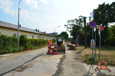 ../db_bilder/400/hi_spargelfeldstrasse--20240831_0950-6633.png