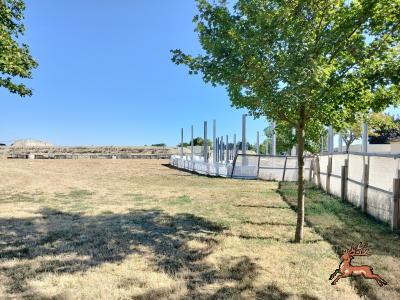db_bilder/400/hi_spargelfeldstrasse--20260813_1000-0005.png