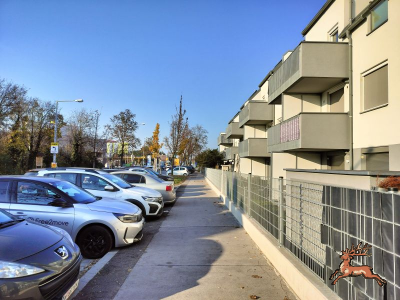 ../db_bilder/400/hi_strasse--20241109_1413-0003.png
