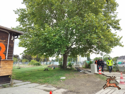 db_bilder/400/hi_ststr_bau--20251007_1203-0015.png