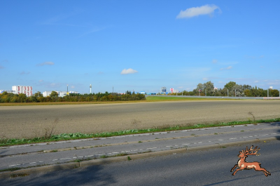 db_bilder/400/hi_suessenbrunner_strasse--20241016_1108-7359.png