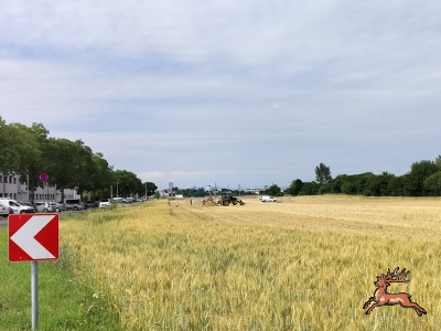 db_bilder/400/hi_suessenbrunner_strasse--20260618_0918-0006x.png