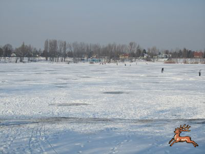 ../db_bilder/400/hi_teich--20120208-003.png