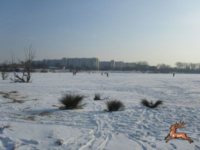 db_bilder/400/hi_teich--20120208-011.png