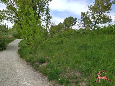 db_bilder/400/hi_teich--20230427_133106.png