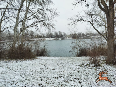 ../db_bilder/400/hi_teich--20240108_123623.png