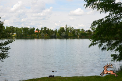db_bilder/400/hi_teich--20240523_132250.png