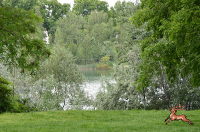 ../db_bilder/400/hi_teich--20240523_132452.png