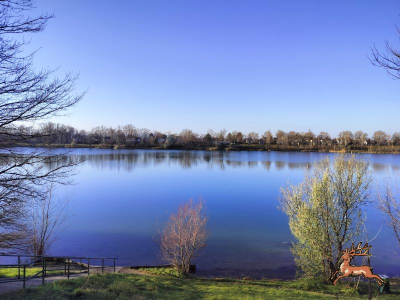 ../db_bilder/400/hi_teich--20241201_1359-0002.png