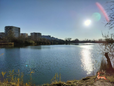 ../db_bilder/400/hi_teich--20241201_1406-0004.png