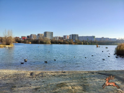 ../db_bilder/400/hi_teich--20241201_1421-0006.png